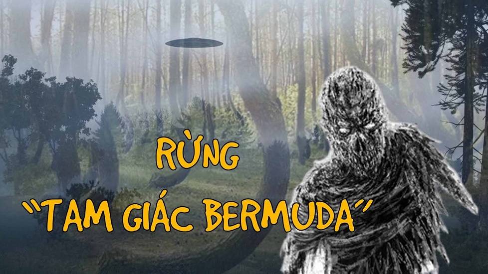 Bí ẩn khu rừng Tam giác quỷ Bermuda trên mặt đất