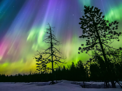 Hiện tượng thiên nhiên kỳ thú