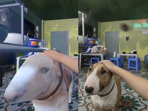 Chú chó nổi tiếng sau 1 đêm nhờ giống hệt nhân vật trong game