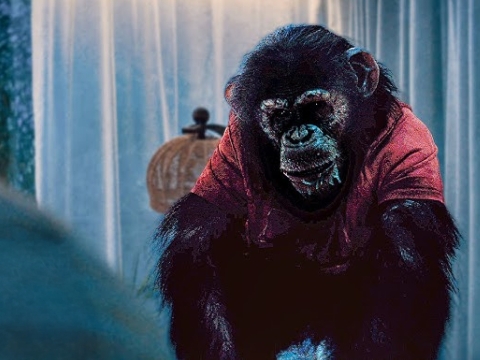 "Linh Trưởng": Bom tấn kinh dị 18+ về chú khỉ mắc virus dại